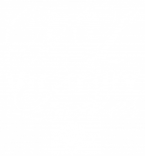 Victory-Ladies-Logo-White-copy